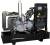 Дизельная электростанция Endress ESE 170 DW 330208 
